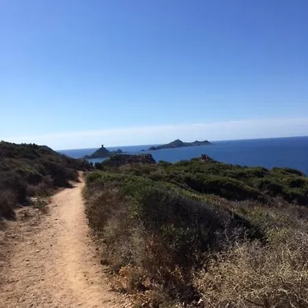 Vue * アジャクシオ